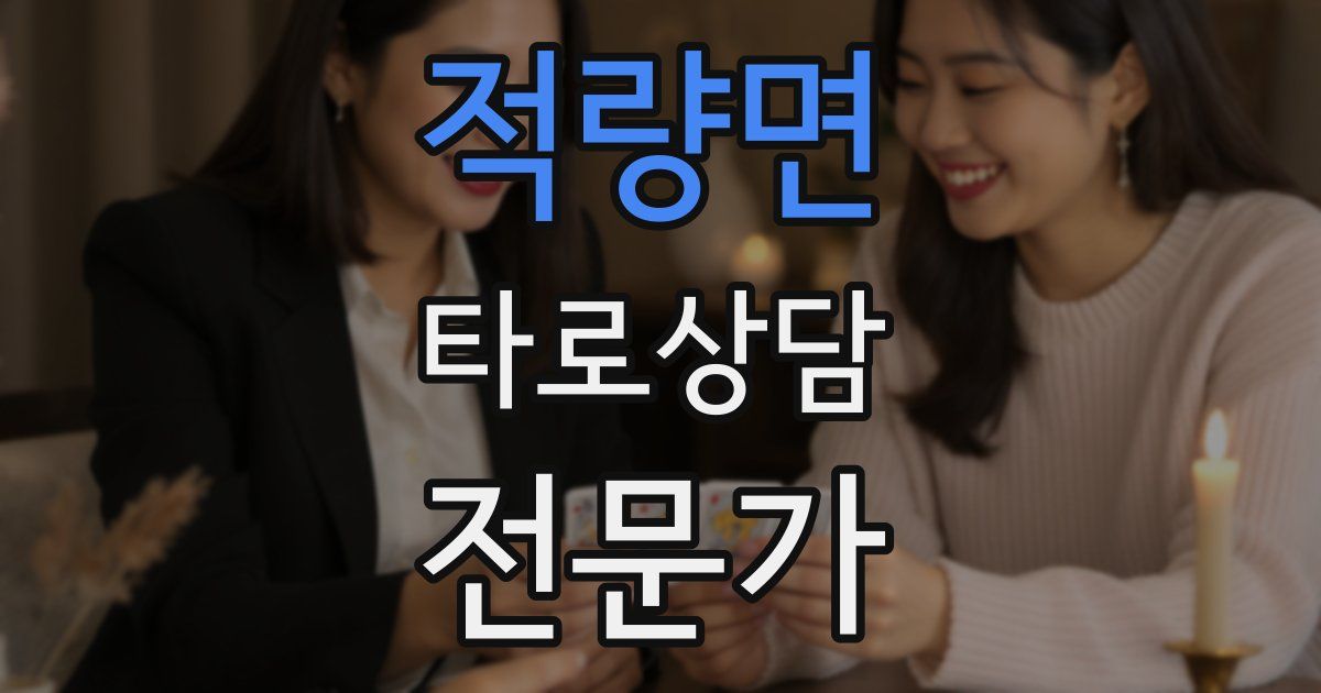 적량면 타로상담전문가 자격증