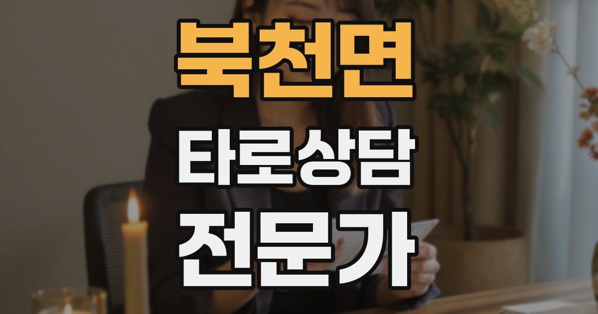북천면 타로상담전문가 자격증