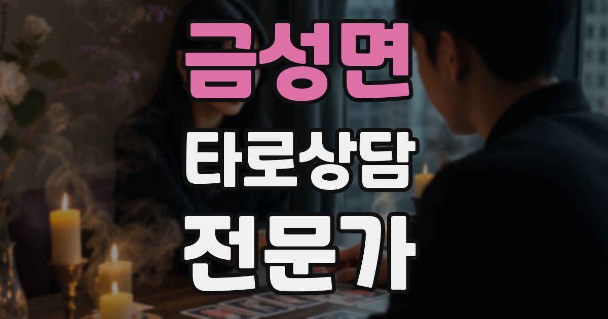 금성면 타로상담전문가 자격증