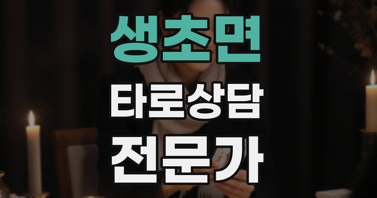 생초면 타로상담전문가 자격증