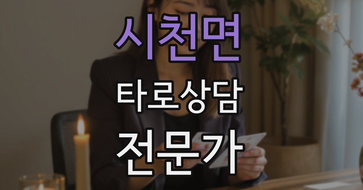 시천면 타로상담전문가 자격증