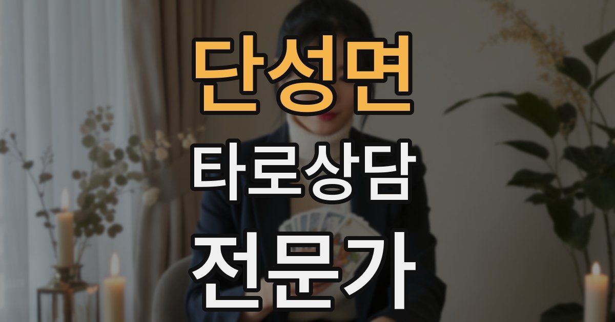 단성면 타로상담전문가 자격증