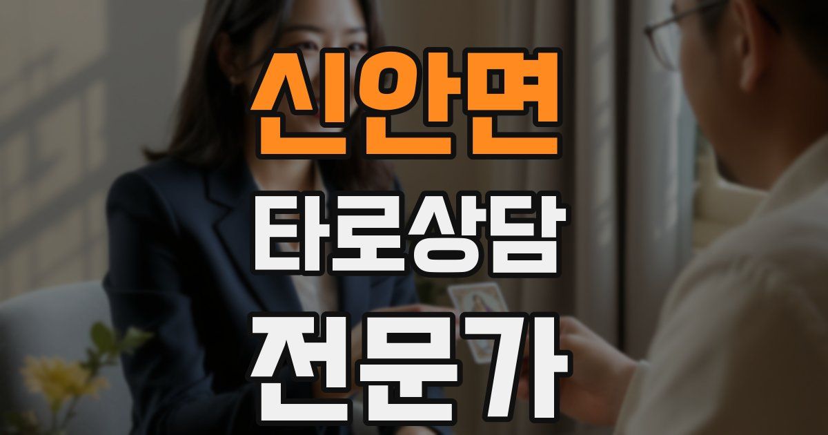 신안면 타로상담전문가 자격증