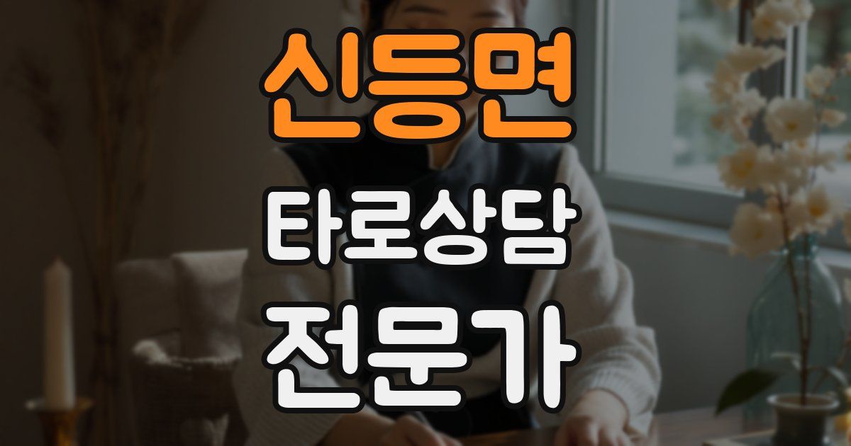 신등면 타로상담전문가 자격증