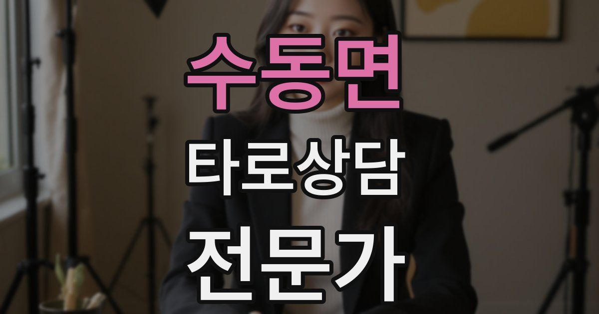 수동면 타로상담전문가 자격증