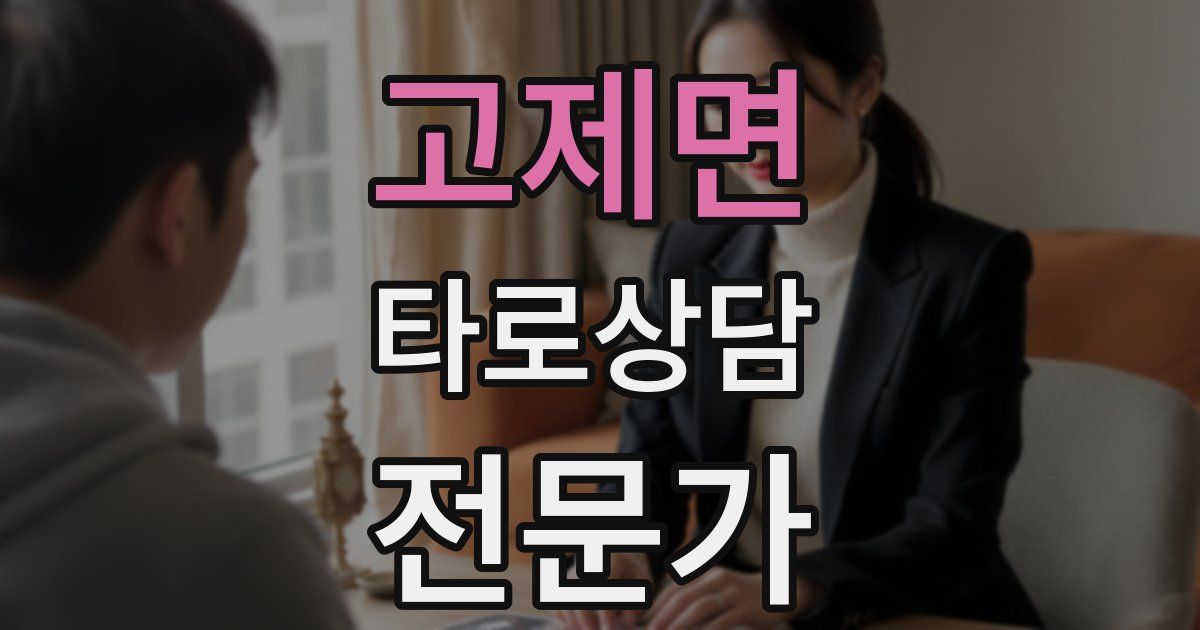고제면 타로상담전문가 자격증