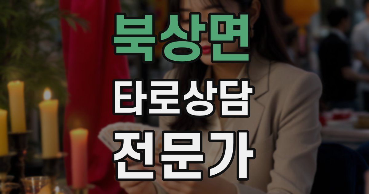 북상면 타로상담전문가 자격증