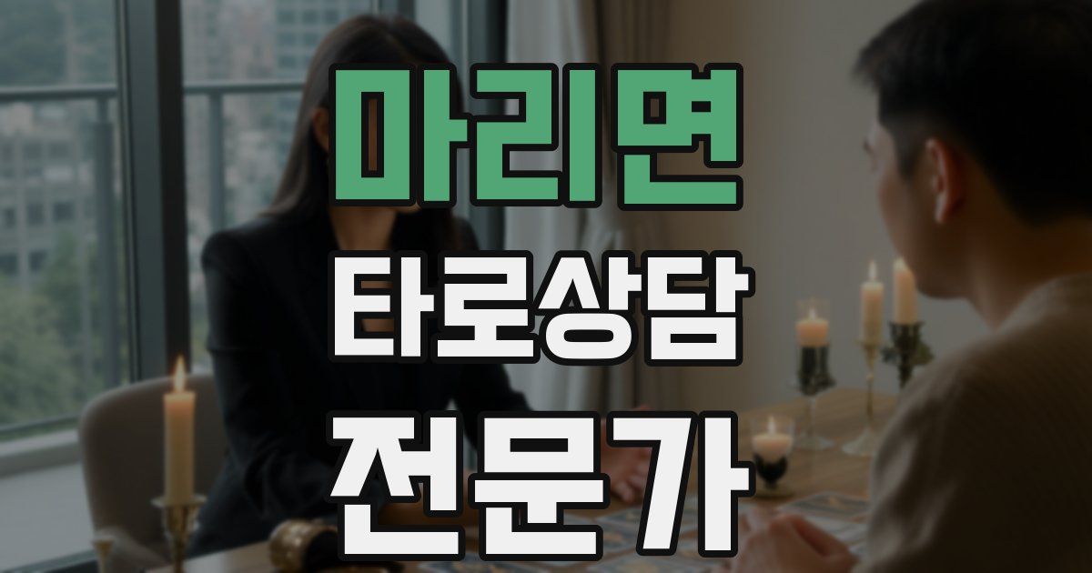 마리면 타로상담전문가 자격증