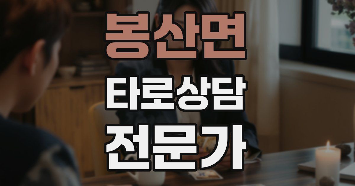 봉산면 타로상담전문가 자격증