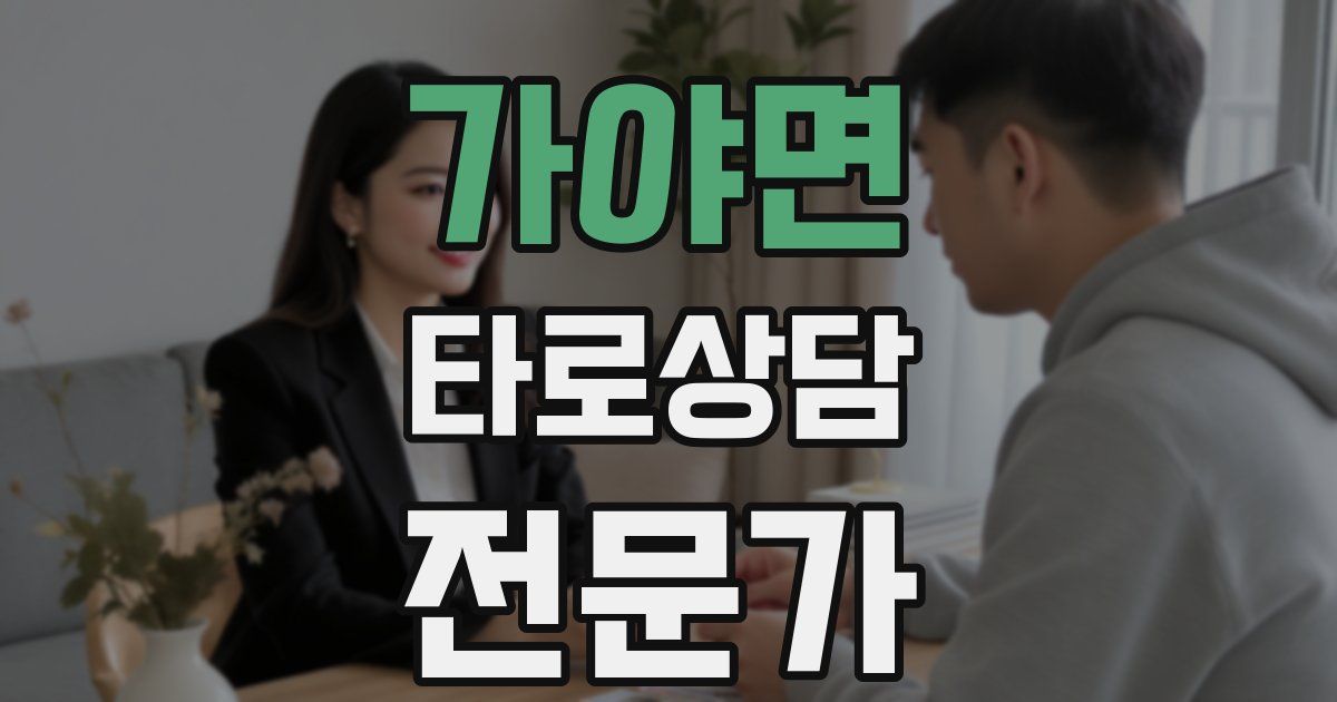 가야면 타로상담전문가 자격증