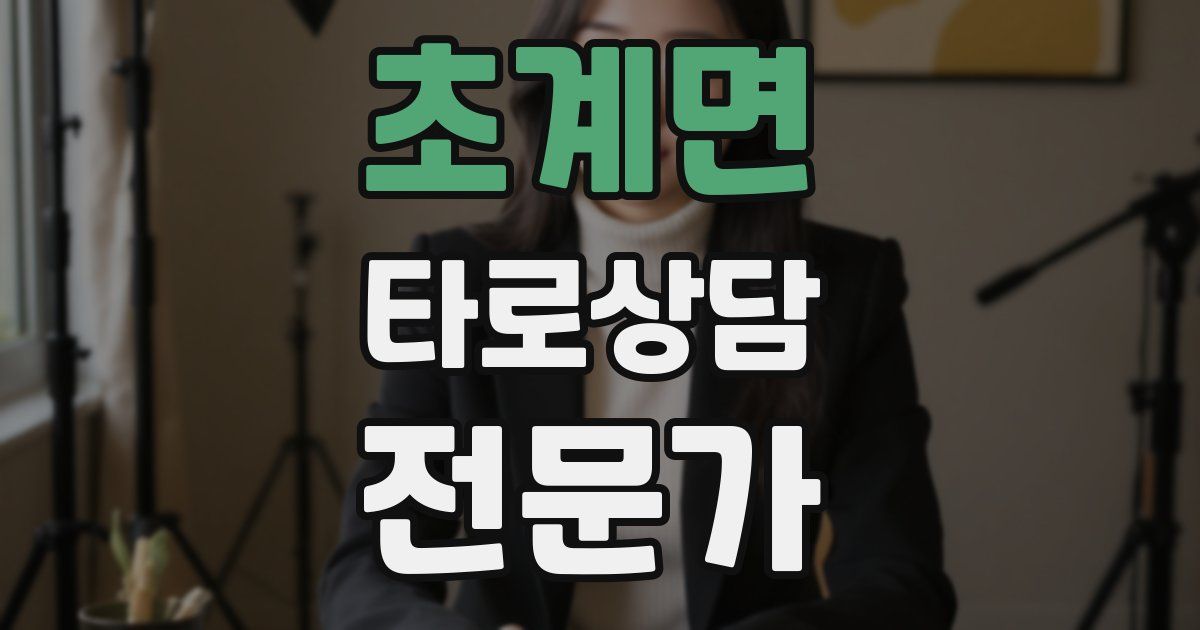 초계면 타로상담전문가 자격증