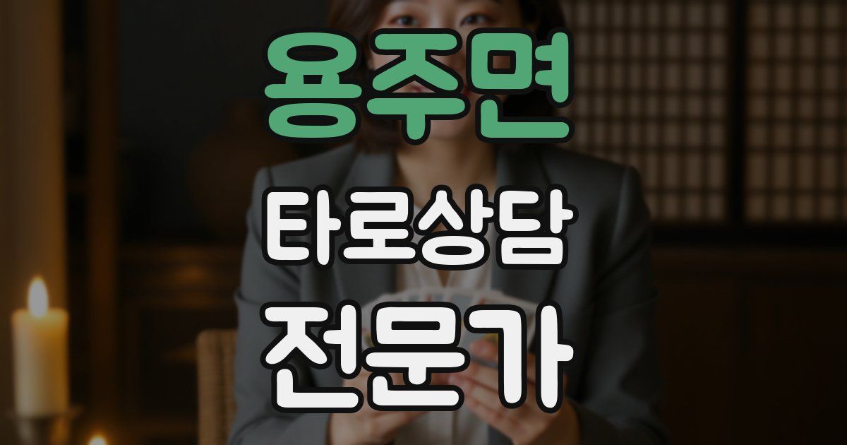 용주면 타로상담전문가 자격증