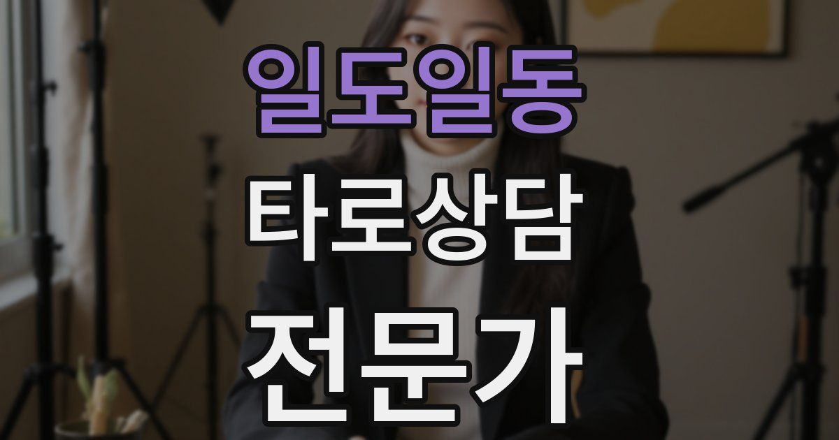 일도일동 타로상담전문가 자격증