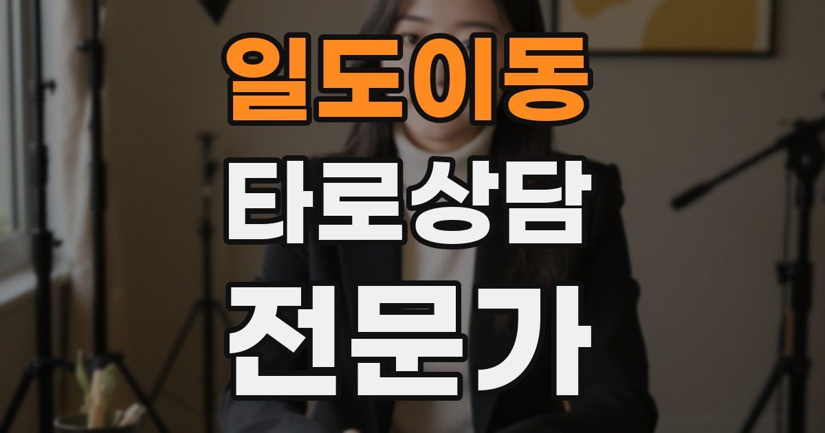 일도이동 타로상담전문가 자격증