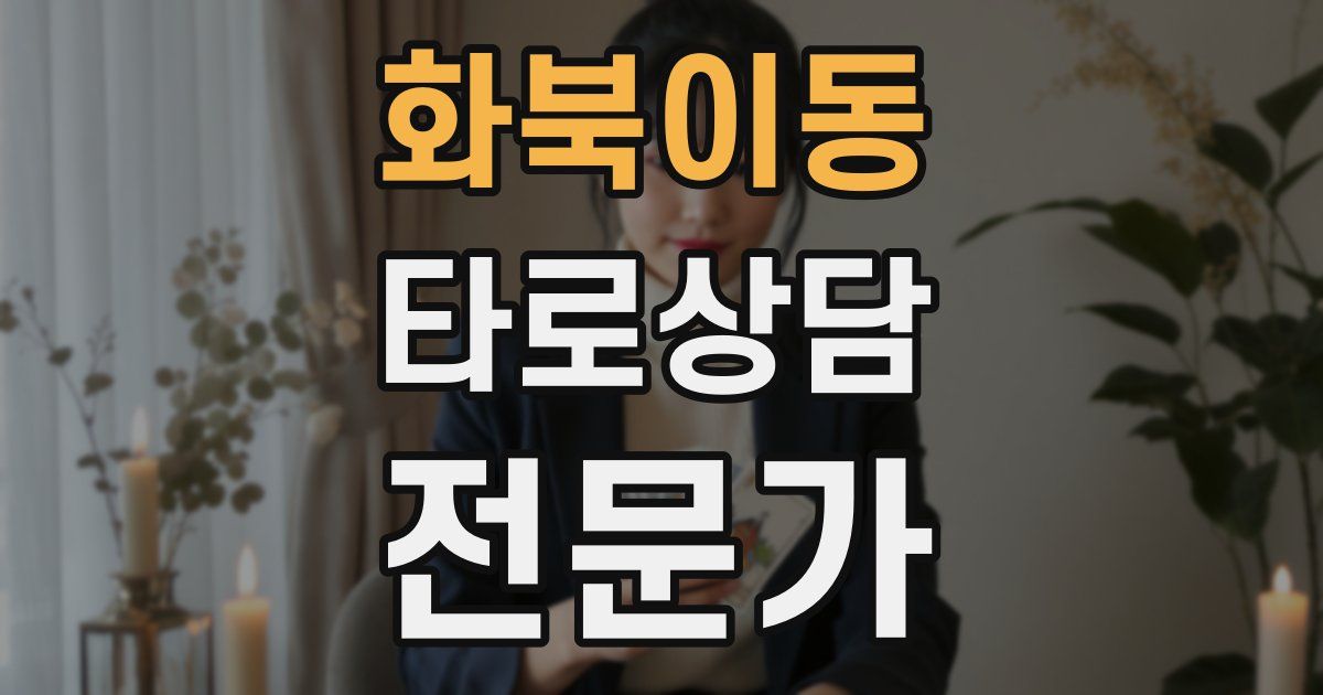 화북이동 타로상담전문가 자격증