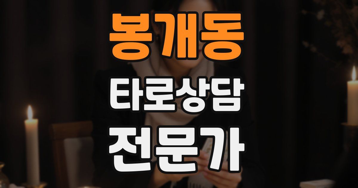 봉개동 타로상담전문가 자격증