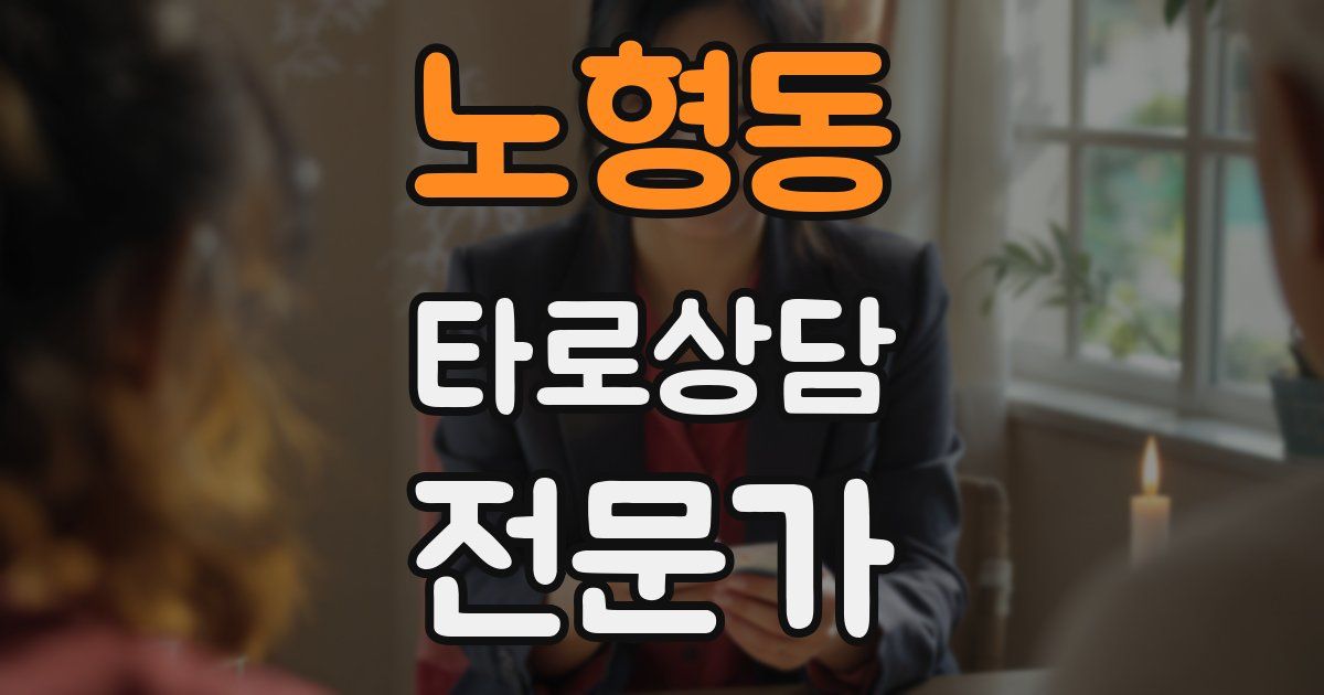 노형동 타로상담전문가 자격증