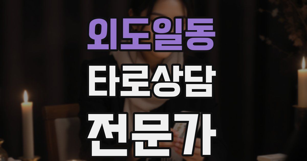 외도일동 타로상담전문가 자격증