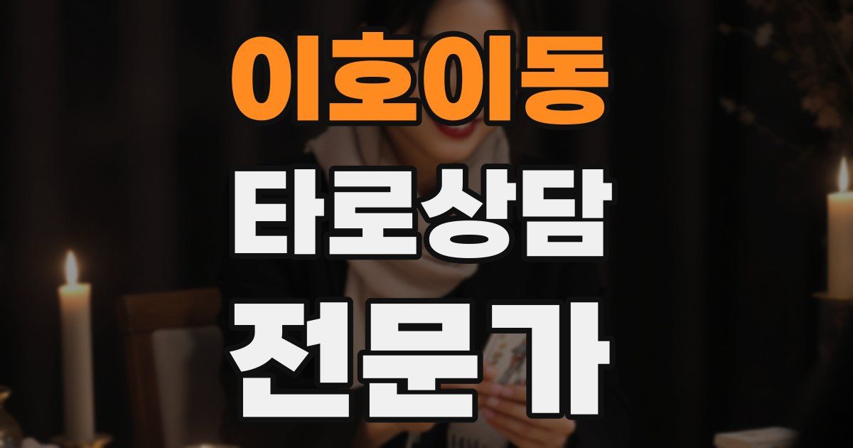 이호이동 타로상담전문가 자격증