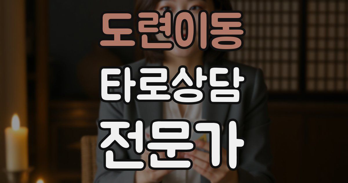 도련이동 타로상담전문가 자격증