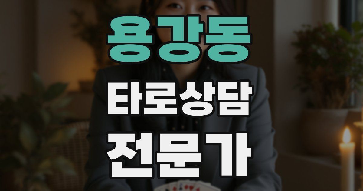 용강동 타로상담전문가 자격증