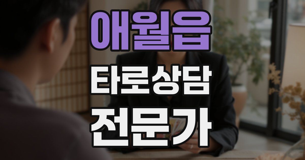 애월읍 타로상담전문가 자격증