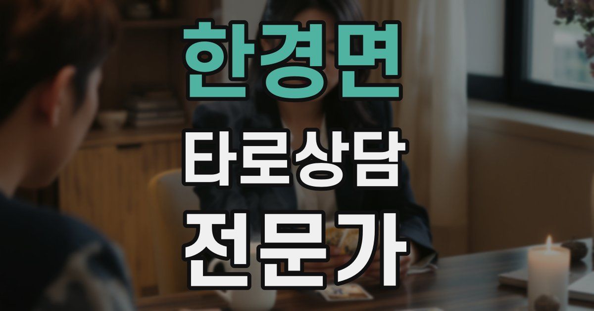 한경면 타로상담전문가 자격증