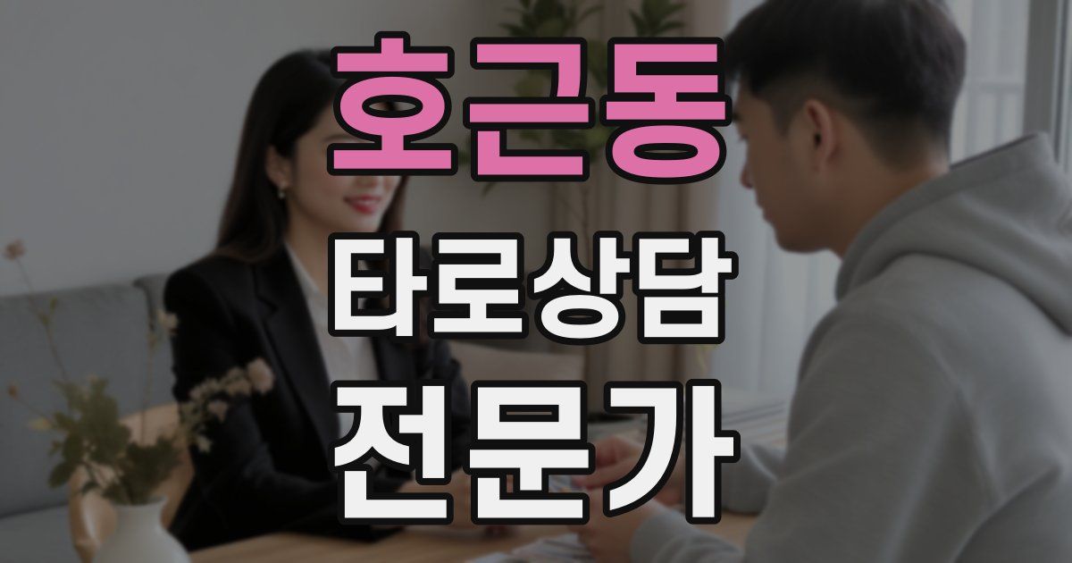 호근동 타로상담전문가 자격증