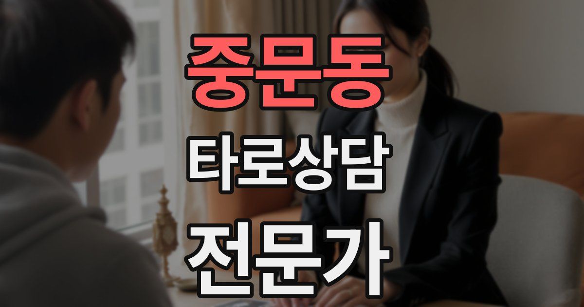 중문동 타로상담전문가 자격증