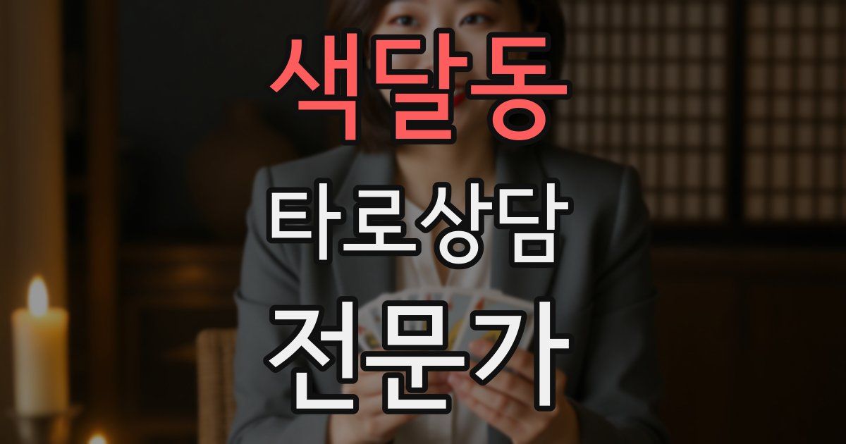 색달동 타로상담전문가 자격증