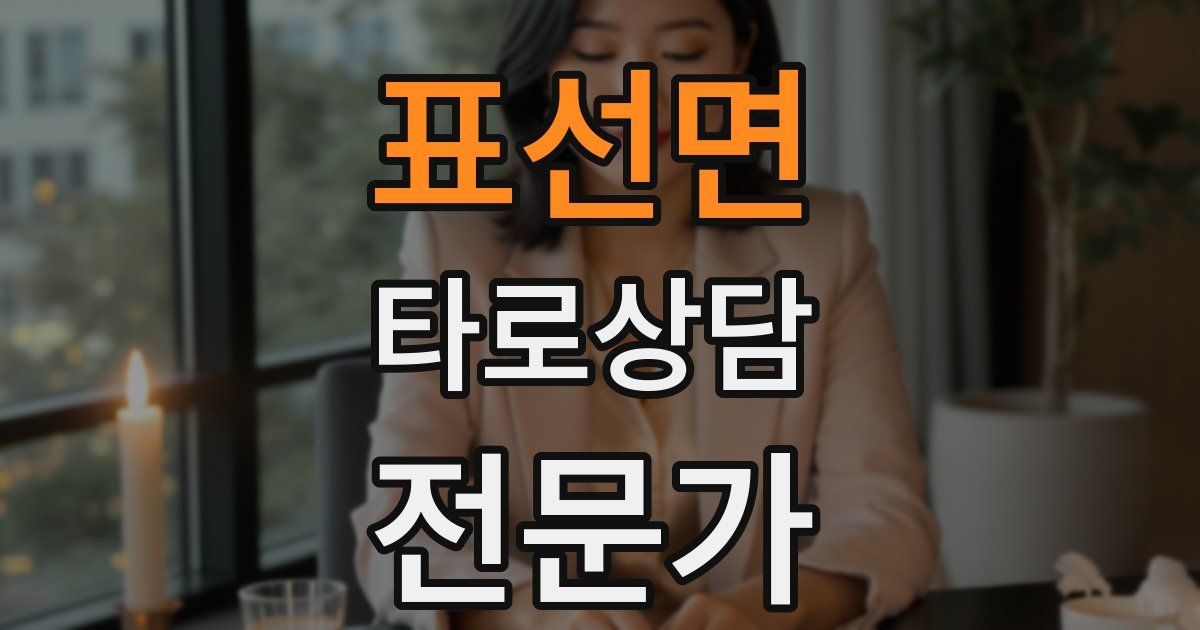 표선면 타로상담전문가 자격증