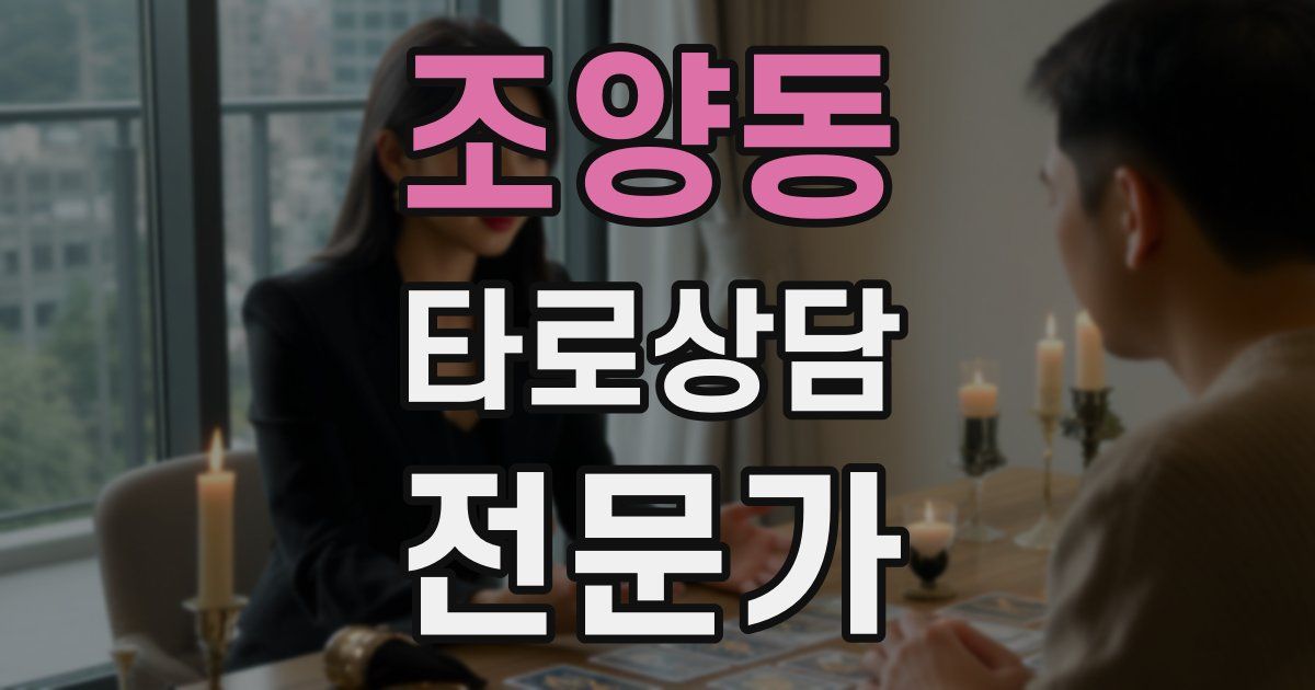 조양동 타로상담전문가 자격증