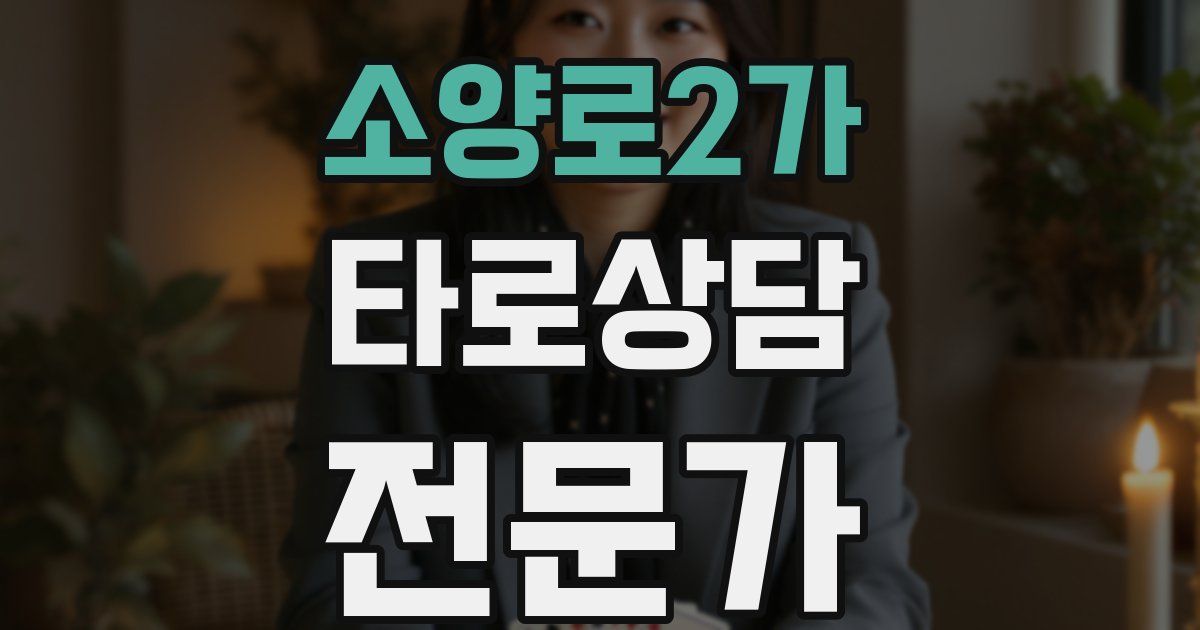 소양로2가 타로상담전문가 자격증