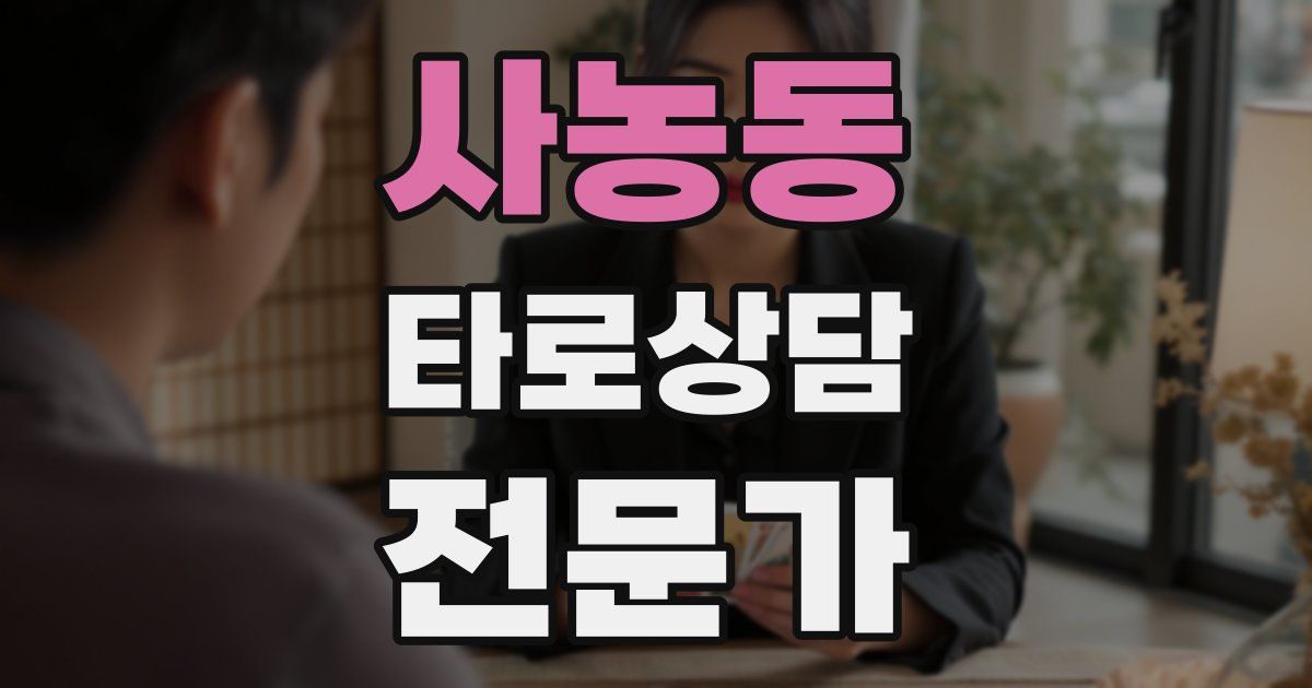 사농동 타로상담전문가 자격증