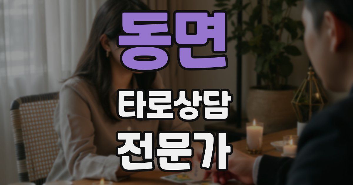 동면 타로상담전문가 자격증