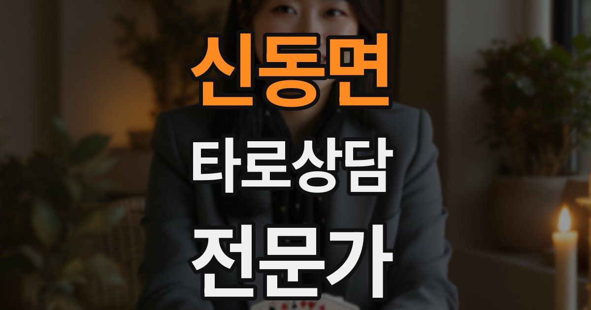 신동면 타로상담전문가 자격증
