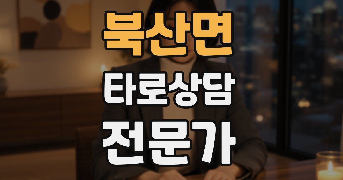 북산면 타로상담전문가 자격증