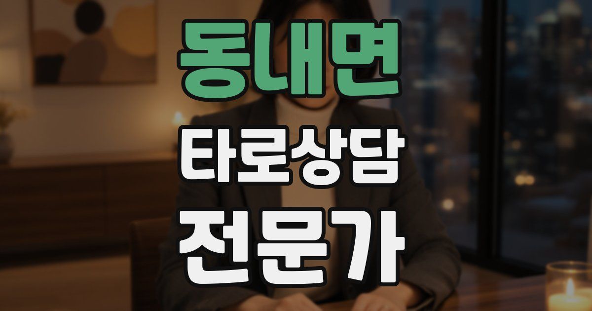 동내면 타로상담전문가 자격증