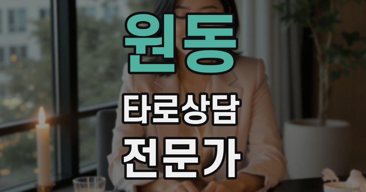 원동 타로상담전문가 자격증