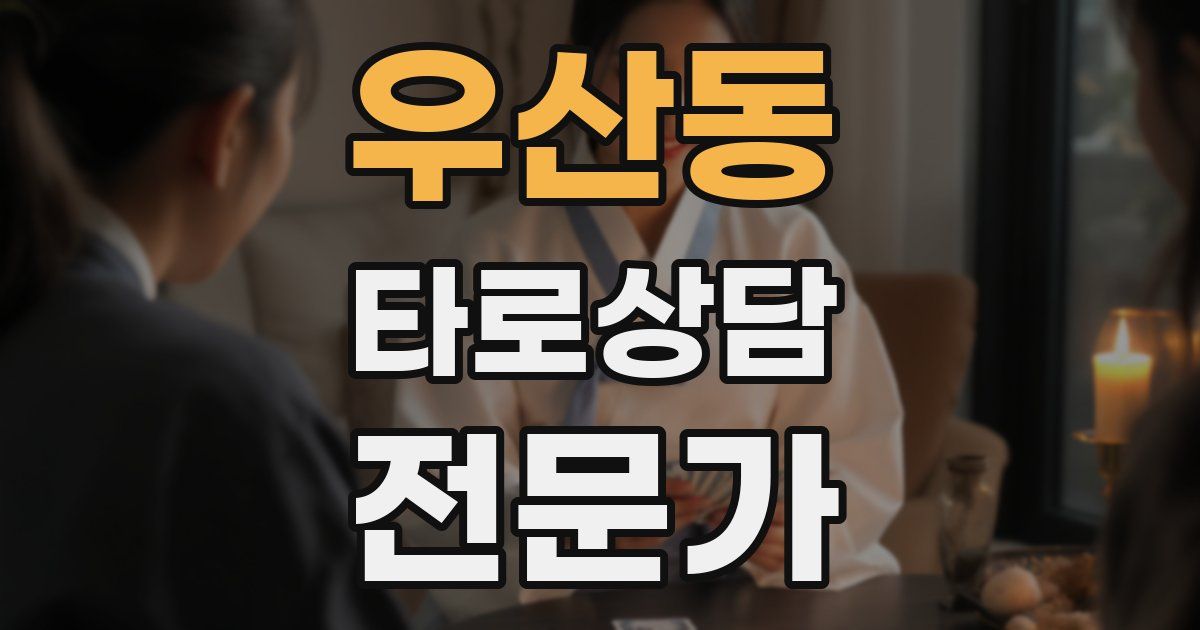 우산동 타로상담전문가 자격증