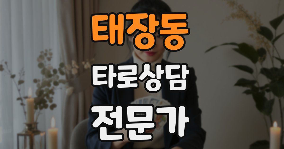 태장동 타로상담전문가 자격증