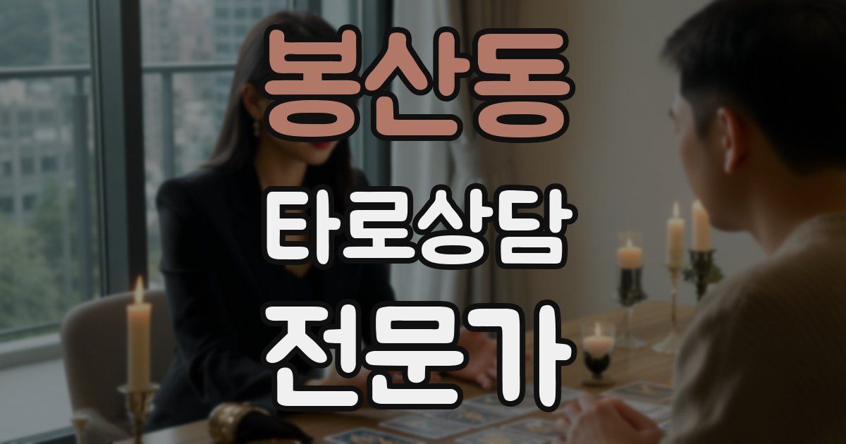 봉산동 타로상담전문가 자격증