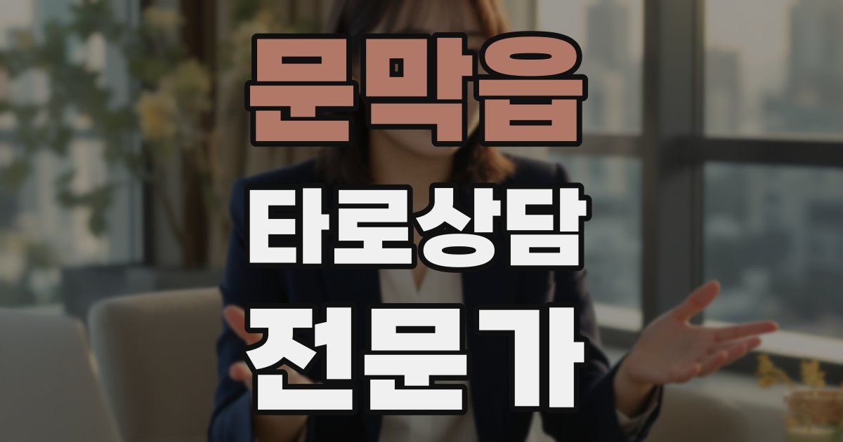 문막읍 타로상담전문가 자격증