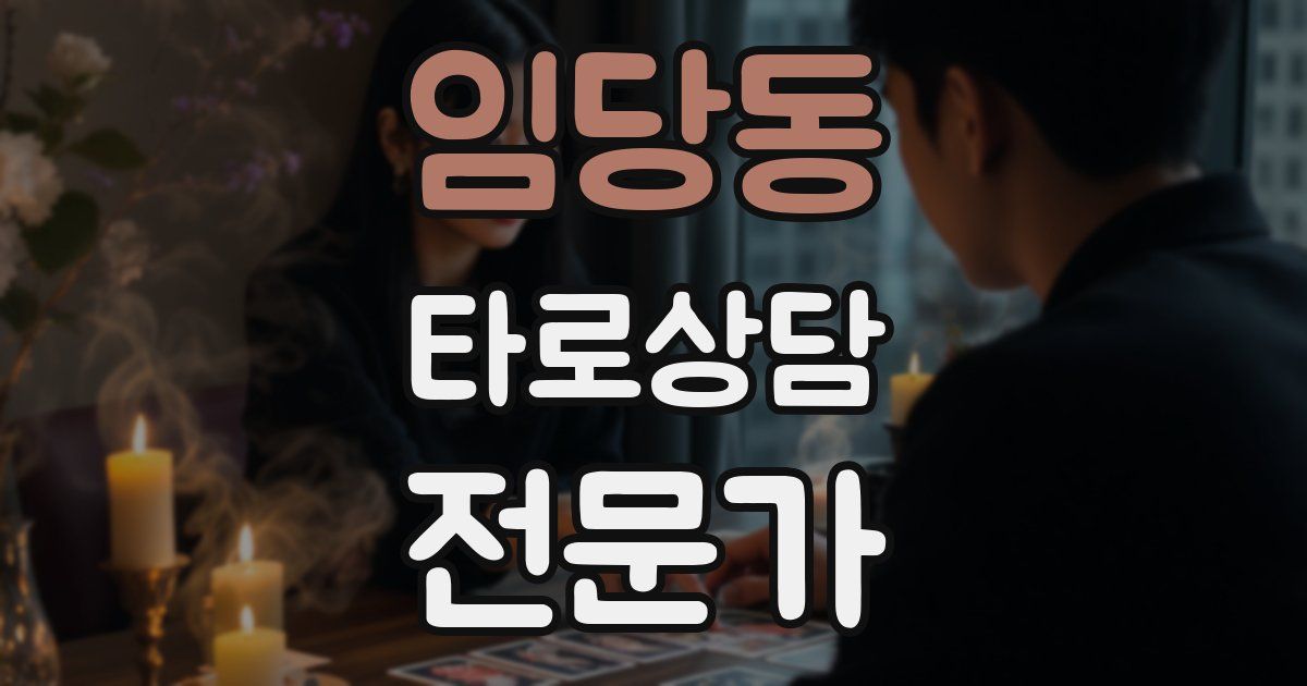 임당동 타로상담전문가 자격증
