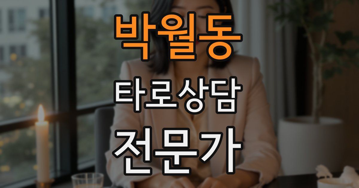 박월동 타로상담전문가 자격증