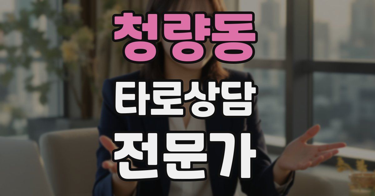 청량동 타로상담전문가 자격증