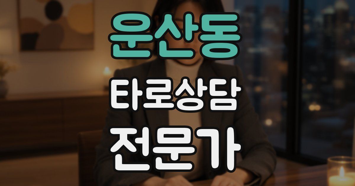 운산동 타로상담전문가 자격증
