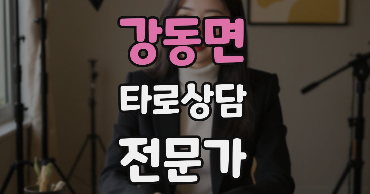 강동면 타로상담전문가 자격증