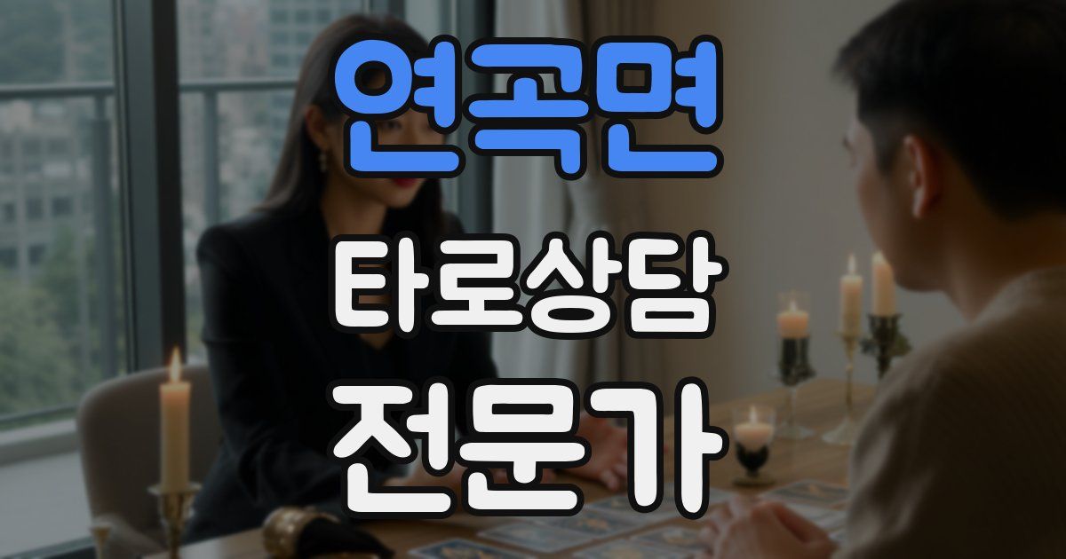 연곡면 타로상담전문가 자격증