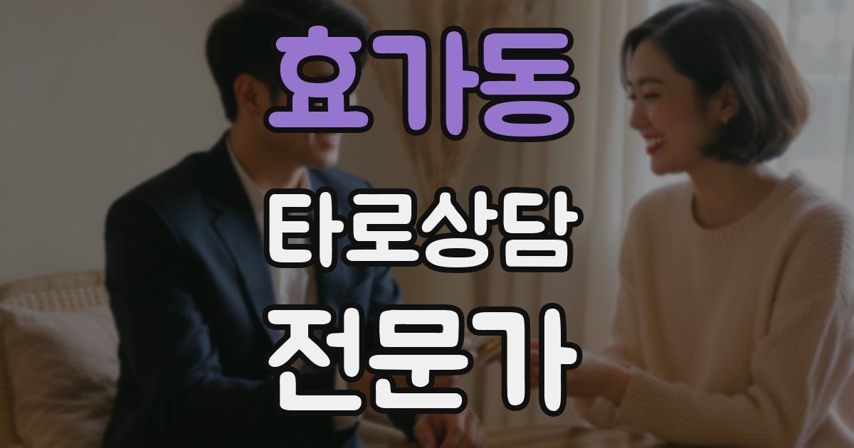 효가동 타로상담전문가 자격증
